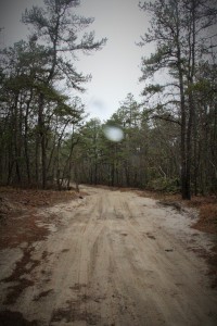 Turn right and walk down the dirt road.