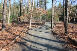 Beginning of the trail.